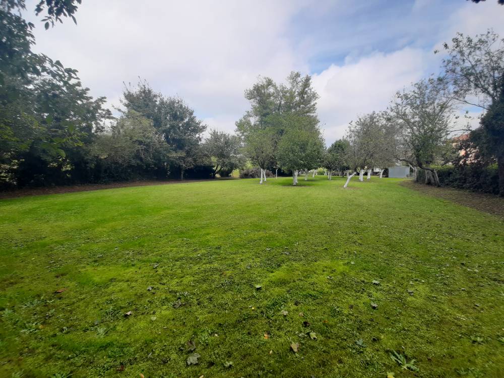 giardino - Porzione di casa a NOVENTA DI PIAVE in vendita - Rif.: 2384