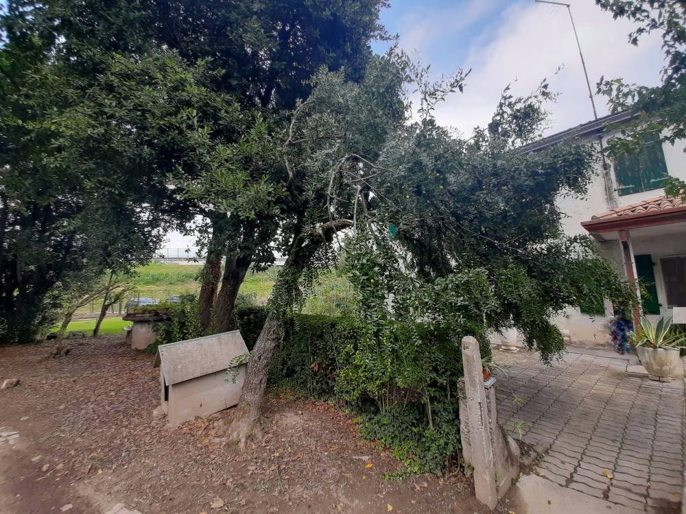 giardino - Porzione di casa a NOVENTA DI PIAVE in vendita - Rif.: 2384