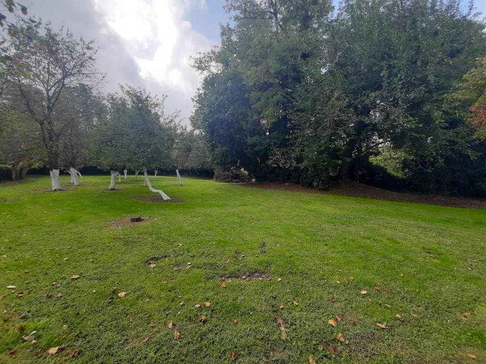 giardino - Porzione di casa a NOVENTA DI PIAVE in vendita - Rif.: 2384