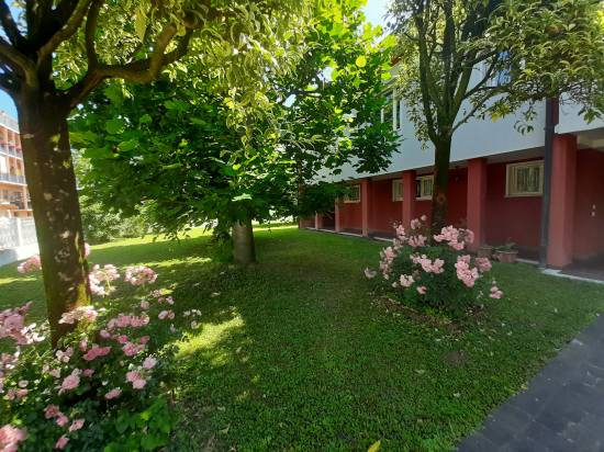 Giardino - Casa singola MUSILE DI PIAVE zona CENTRO in vendita - Rif.: 2419