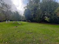 giardino - Porzione di casa a NOVENTA DI PIAVE in vendita - Rif.: 2384