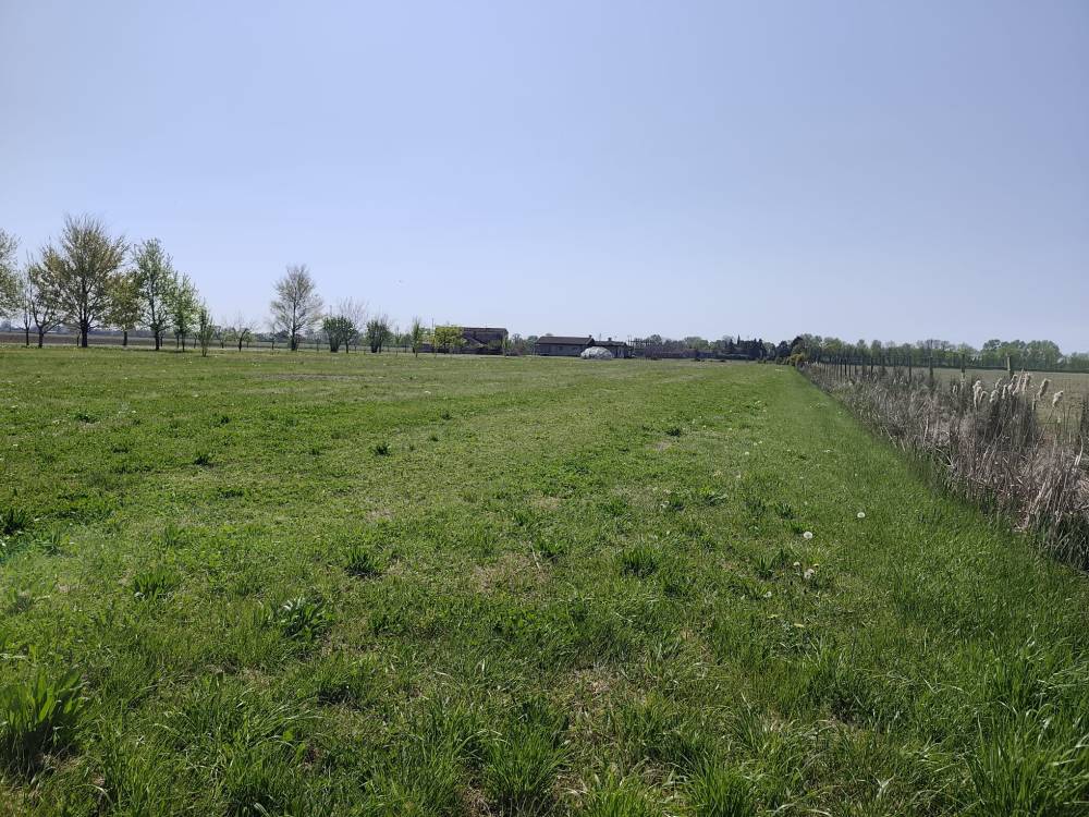 Foto 3 - Terreno agricolo a SAN DONA' DI PIAVE zona BASSA ISIATA in vendita - Rif.: 2461