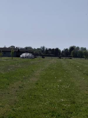 Planimetria - Terreno agricolo SAN DONA' DI PIAVE zona BASSA ISIATA in vendita - Rif.: 2461