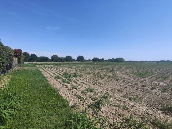 Foto 5 - Terreno agricolo SAN DONA' DI PIAVE zona CHIESANUOVA in vendita - Rif.: 2487