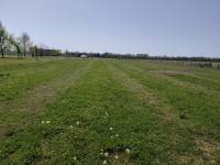 Foto 1 - Terreno agricolo a SAN DONA' DI PIAVE zona BASSA ISIATA in vendita - Rif.: 2461