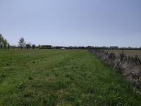 Foto 4 - Terreno agricolo a SAN DONA' DI PIAVE zona BASSA ISIATA in vendita - Rif.: 2461