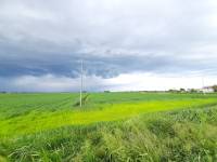 Foto 3 - Terreno agricolo a MUSILE DI PIAVE in vendita - Rif.: 2463