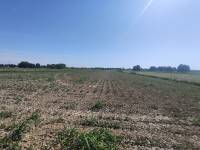 Foto 6 - Terreno agricolo a SAN DONA' DI PIAVE zona CHIESANUOVA in vendita - Rif.: 2487