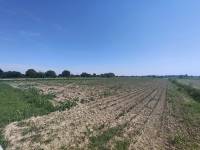 Foto 8 - Terreno agricolo a SAN DONA' DI PIAVE zona CHIESANUOVA in vendita - Rif.: 2487